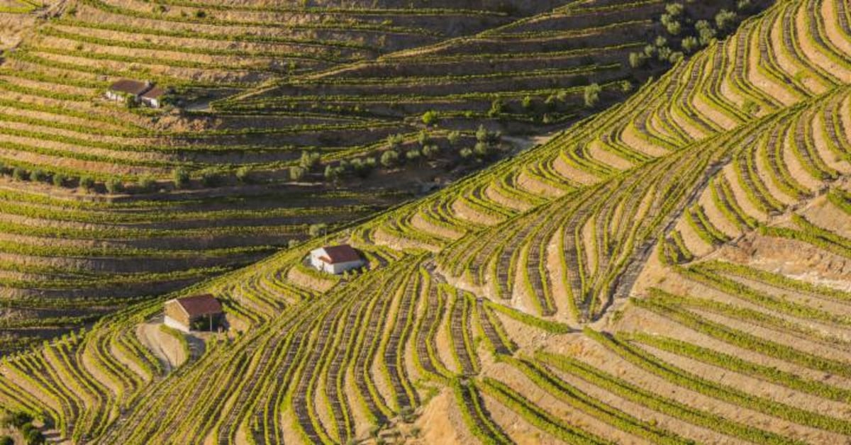 Ocho Rutas Para Enamorarse De Portugal El Viajero El Pa S