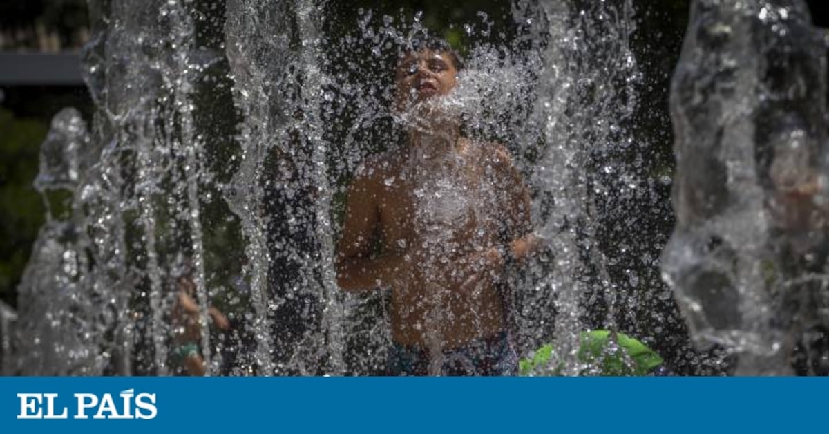 La Generalitat Activa Lalerta Per Una Nova Onada De Calor Quadern