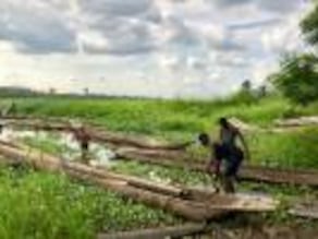 Cuenca del Congo Desconocido y casi intacto así es el segundo pulmón