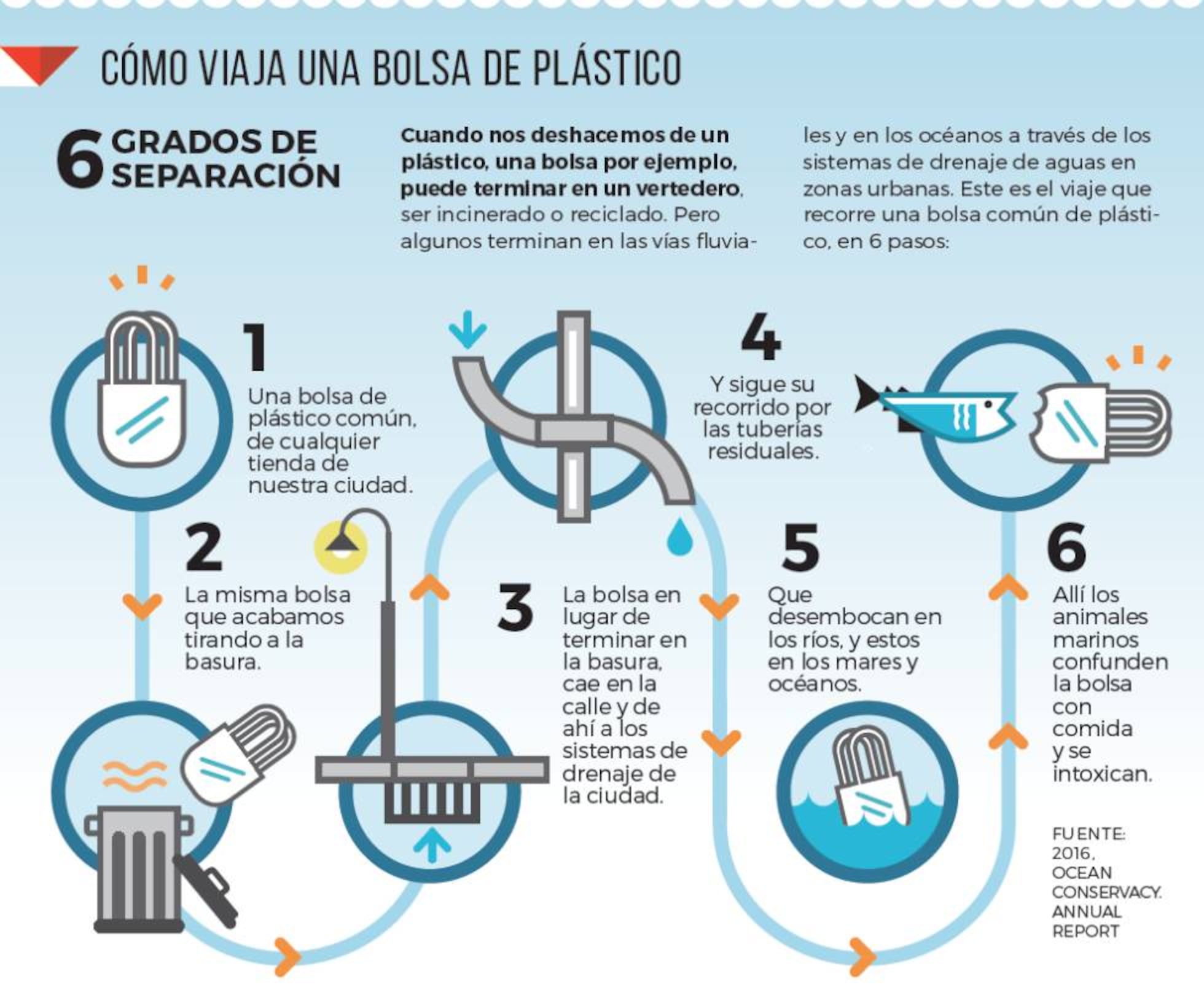 Qué puedes hacer tú por los mares Planeta Futuro EL PAÍS