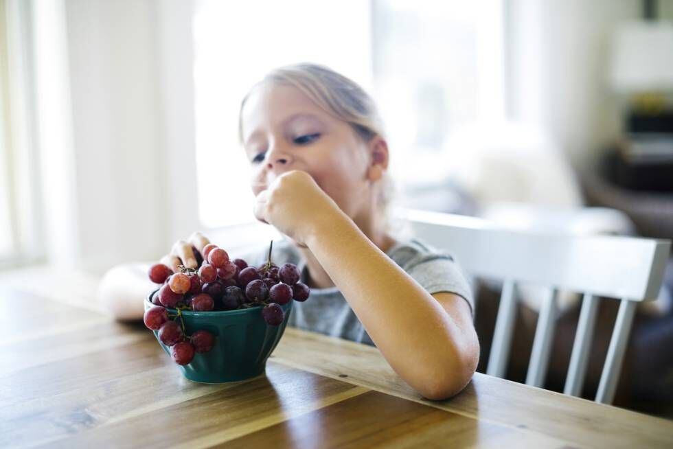 Los cinco pilares para una vida saludable desde la infancia Mamas Papas EL PAÍS