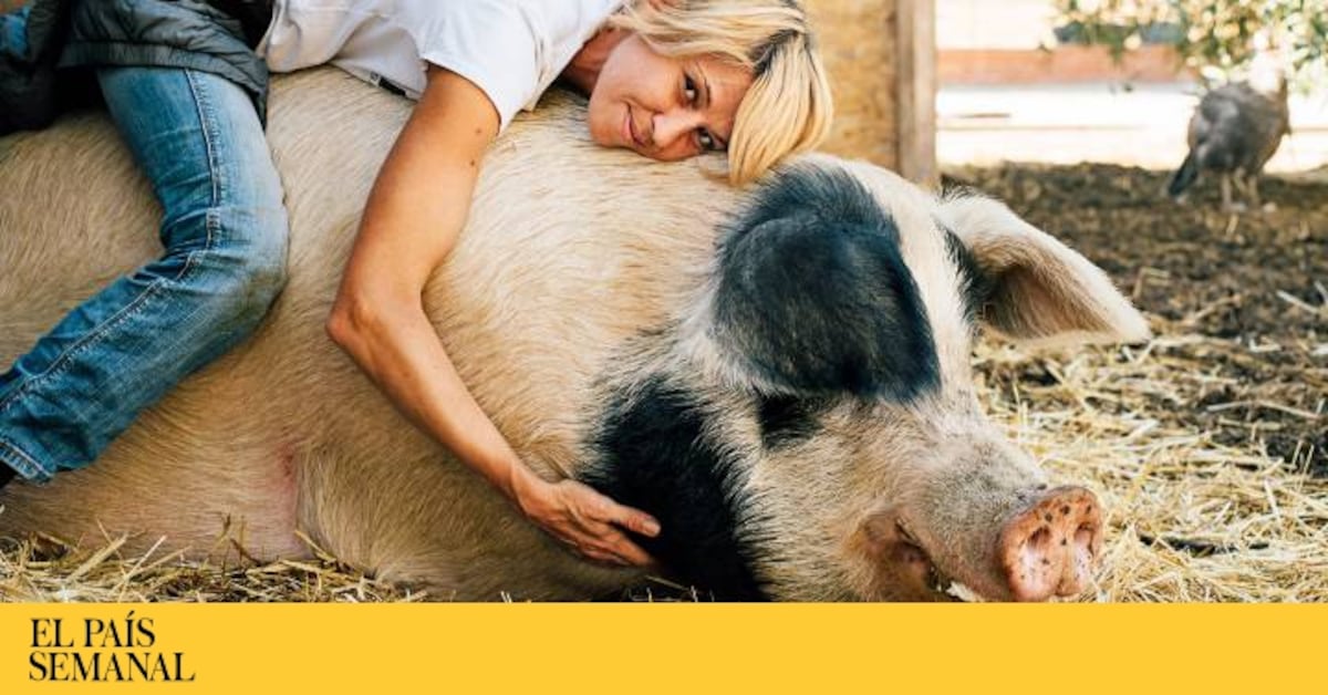 La era del veganismo el fin de los placeres de la carne EL PAÍS