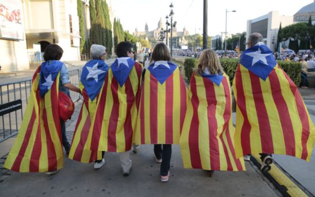 Eleccions Catalanes Manual Del Bon Votant Processista Quadern