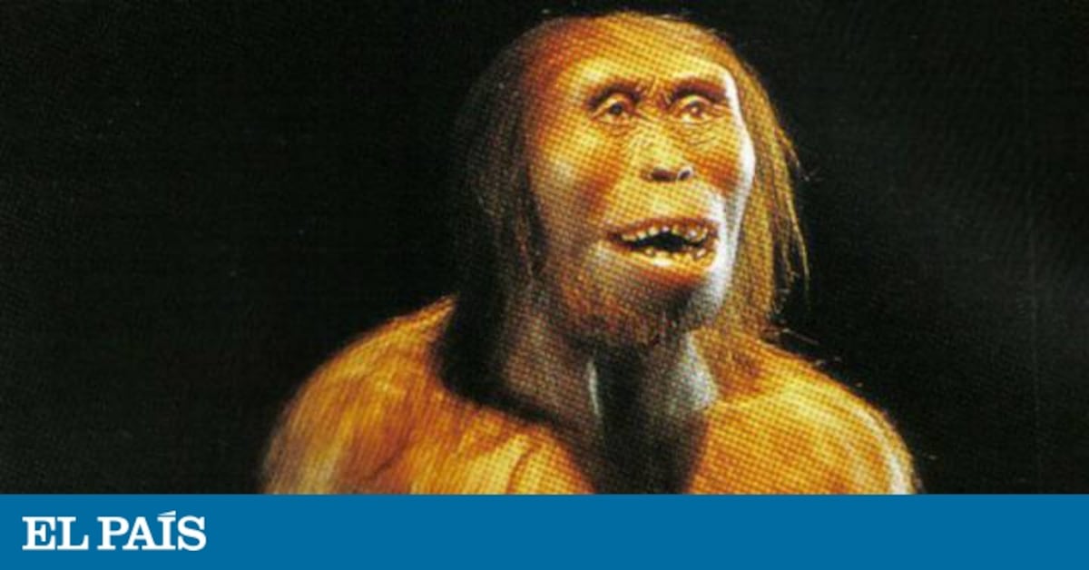 La Primera Persona Ciencia El Pa S