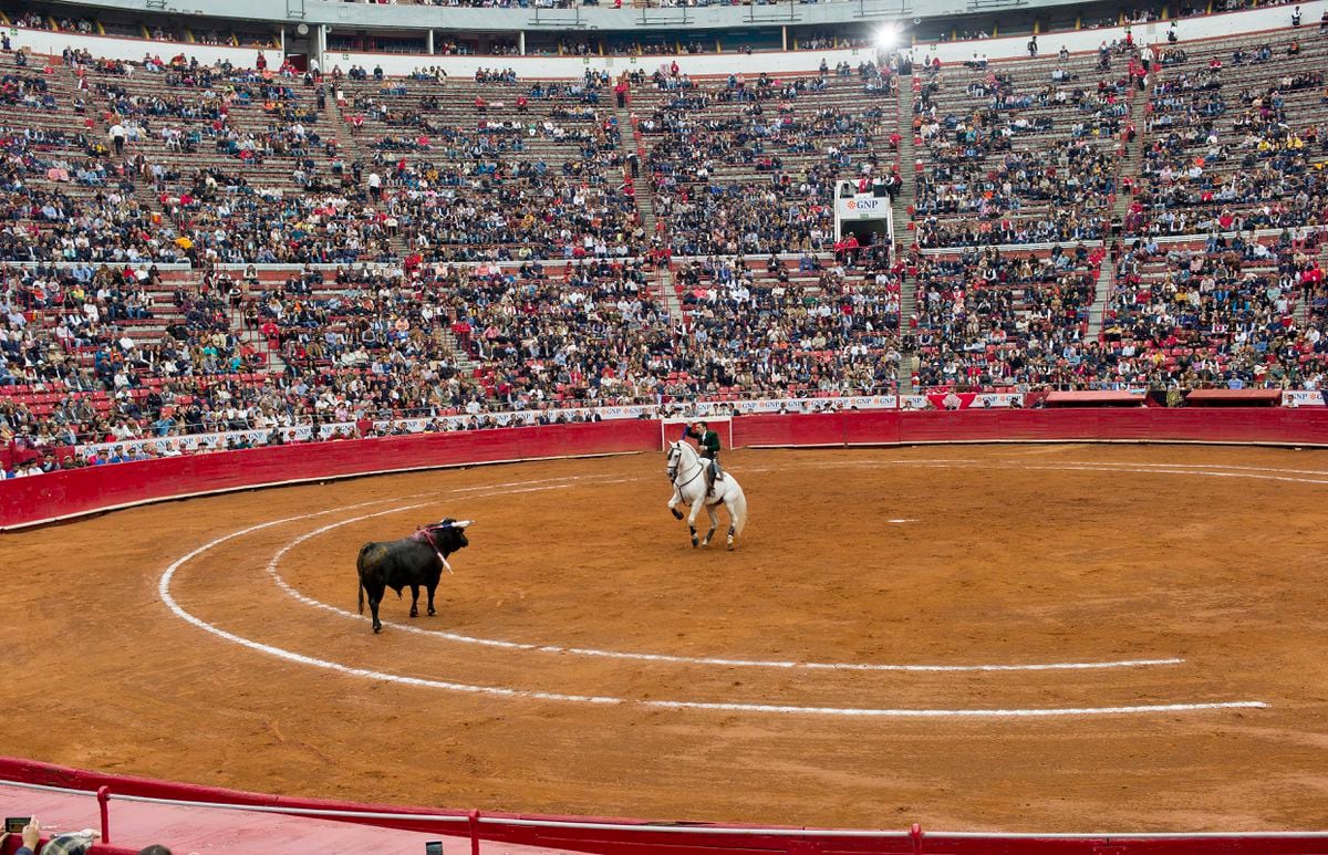 México se queda sin la temporada grande en la plaza de toros EL PAÍS