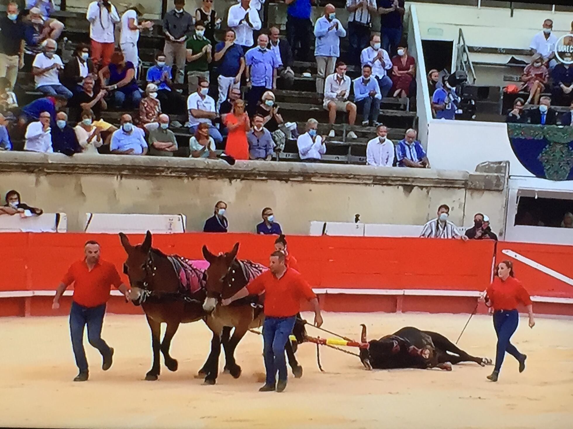 Los bravos toros de Victoriano del Río ridiculizan a los toreros en