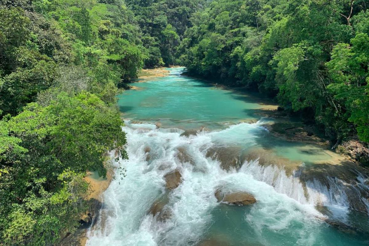 La selva Lacandona un paraíso amenazado Fotos Fotos EL PAÍS