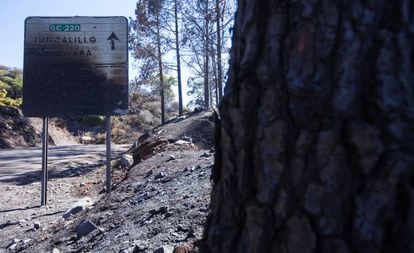 Los incendios calcinan más de 70 000 hectáreas en lo que va de año