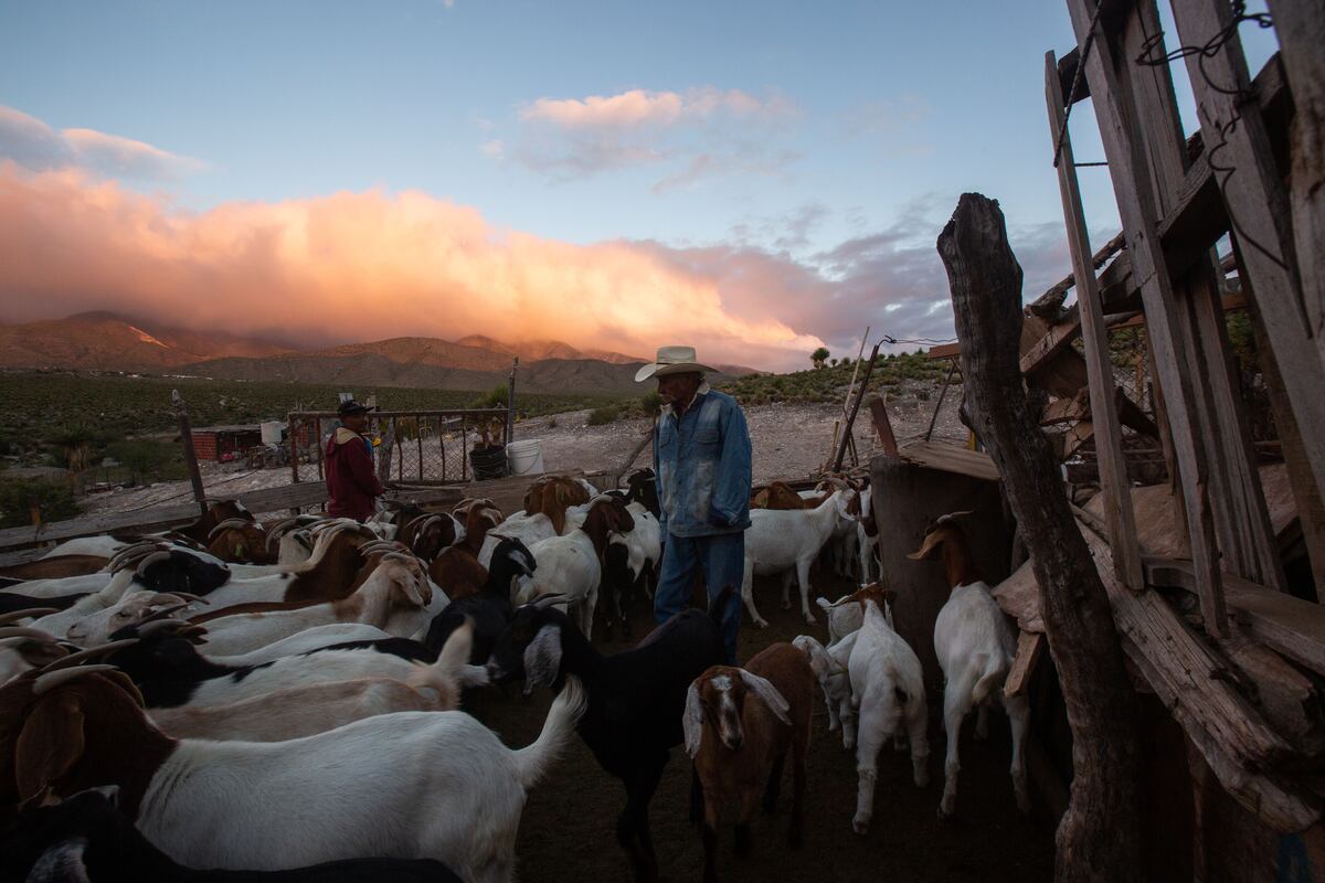 En Los Mundos De Tacho El Cabrero Que Se Hizo Actor Y Lo Vieron En El