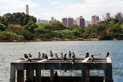Vista del 'skyline' de São Paulo desde el Parque Ibirapuera