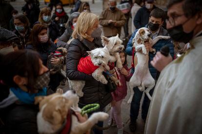 Decenas de personas acuden a bendecir a sus mascotas en la iglesia de San Antonio, el año pasado en Barcelona.