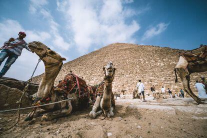 El sector turístico en Egipcio se reactiva tras experimentar un crecimiento de visitantes por segundo año consecutivo