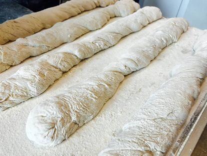 PARAFUSOS ANTES DE ENTRAR EN EL HORNO / CAPEL