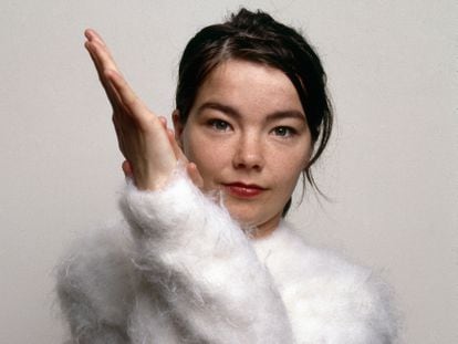 Retrato de la cantante Björk en Londres en 1993, el mismo año en que se convirtió en una estrella internacional gracias al éxito de su álbum 'Debut'.