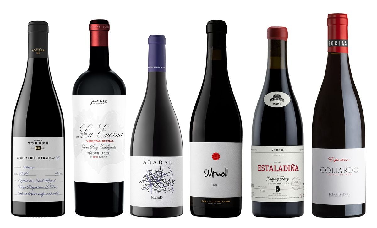 Discover Rare Delights: 6 Exceptional Wines from Endangered Grape Varieties