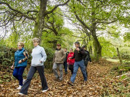 Marcha vecinal en uno de los bosques de las Fragas de Catasós, en Lalín