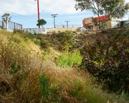 'Vista de la jungla'. Tijuana, México (2019). De la serie 'La jungla'.