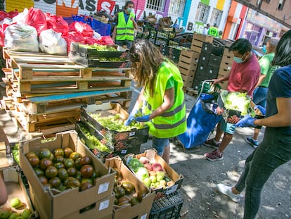 Reparto de alimentos de la Red de Apoyo Mutuo de Aluche, el pasado 8 de agosto en Madrid.