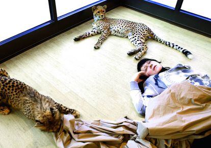 Anohni con dos guepardos que viven en la casa de acogida del zoo del Bronx.
