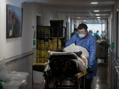 Un sanitario traslada a un enfermo por covid en el Hospital del Mar de Barcelona.