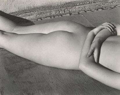 Desnudo / Nude, 1936, de Edward Weston.