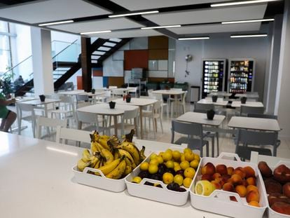 Fruta gratis en una empresa de 'call center' en Torrevieja, en 2023.