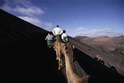 Los paseos en dromedario (20 minutos cuestan 10 euros por animal) parten del denominado Echadero de los Camellos, a la entrada del parque nacional de Timanfaya, en Lanzarote.