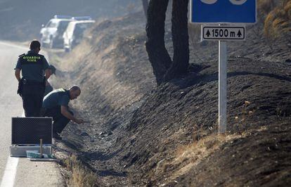 Efectivos de la Guardia Civil inspeccionan uno de los posibles focos del incendio.