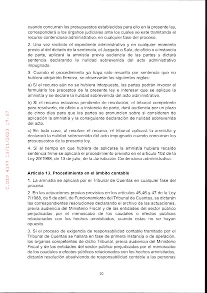 Texto Amnistía Definitivo20