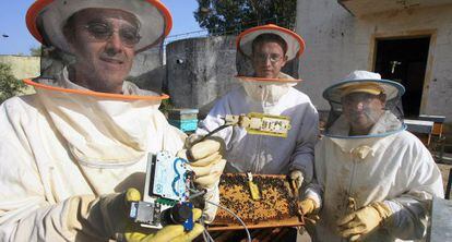 Investigadores de la unidad de Apicultura de la Universidad de Córdoba.