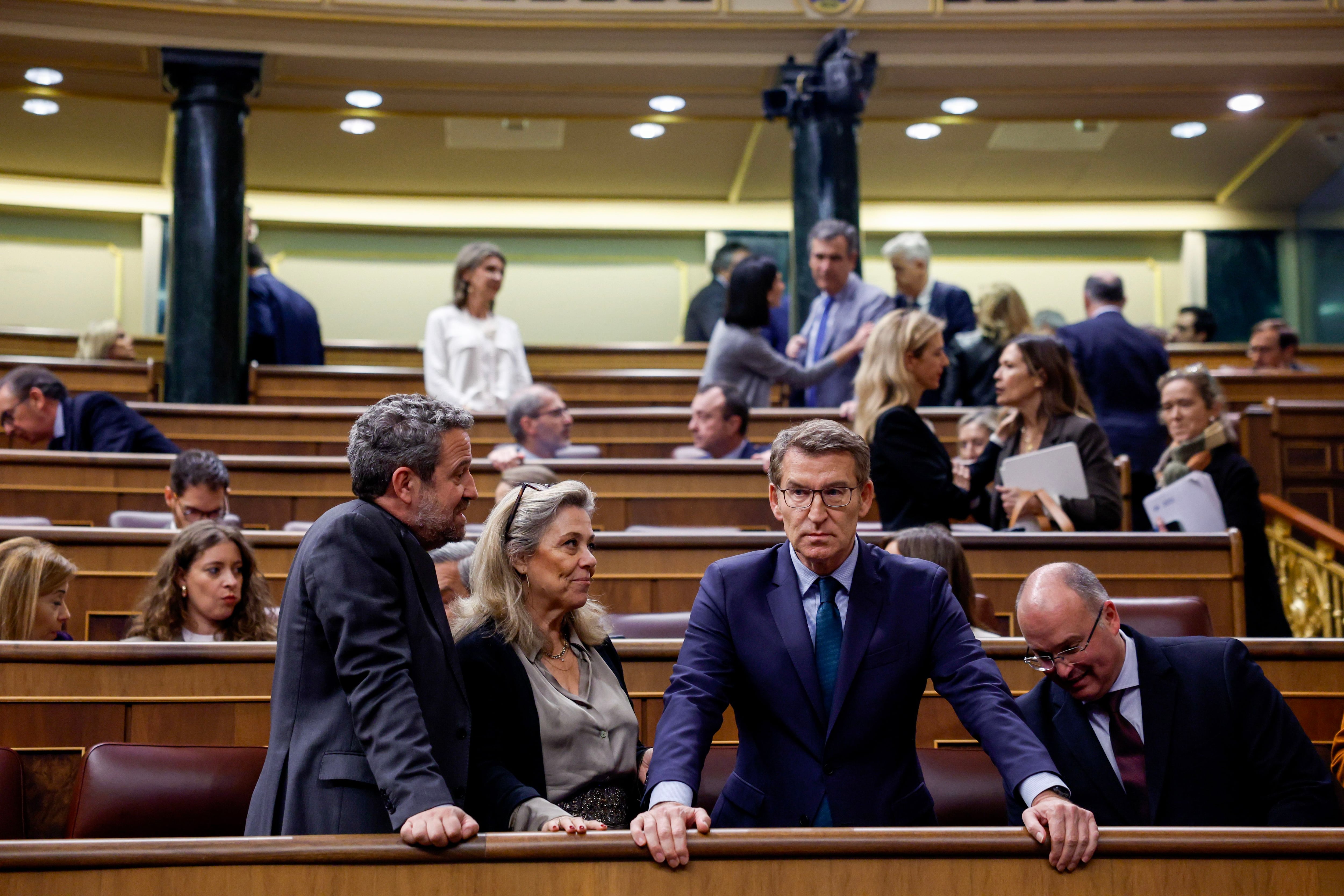 Feijóo en el Congreso.