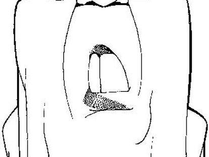 Caricatura de Fu Chengyu