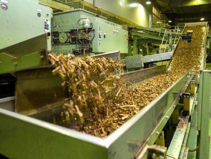Proceso de fabricación de tabaco en la empresa Altadis en La Rioja.