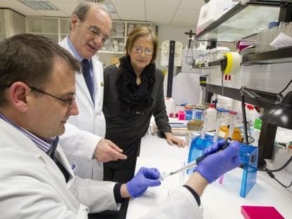 Jes&uacute;s Prieto y Mari &Aacute;ngeles Guillam&oacute;n observan a Antonio Fontanellas en un laboratorio del CIMA de Navarra.