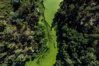 Vista aérea tomada con un dron muestra el caudal debilitado del río Arenteiro, junto a la presa de Bouteiro, en Ourense. El río está en prealerta por su bajo caudal a causa de la sequía que afecta a toda España.