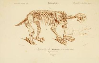 Ilustración del megaterio en un diccionario de 1849, según el dibujo de Cuvier.