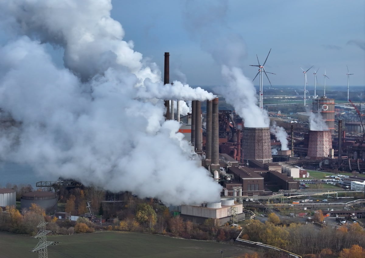 Los aranceles europeos al carbono dan sus primeros pasos | Negocios