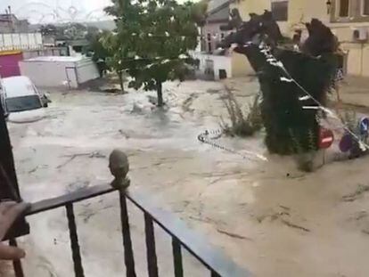 Riada en Cebolla (Toledo).