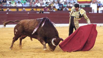 El diestro Enrique Ponce da un natural al toro &#039;Fil&oacute;sofo&#039;, que fue indultado, durante la tercera de feria de Murcia.