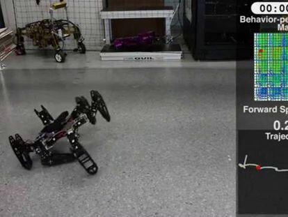 Robots con instinto animal, el nuevo hito de la inteligencia artificial