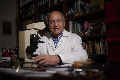 The professor of Biochemistry and Molecular Biology at the University of Granada Ángel Gil, in his office during the interview.
