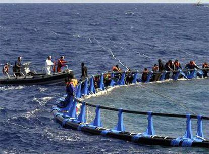 Decenas de emigrantes salvaron sus vidas al agarrarse a las redes de acero de dos atuneros italianos el domingo en las costas de Malta.