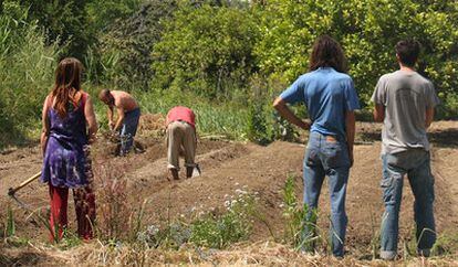 Huerta comunitaria de 'Coín en Transición', Málaga.