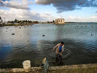 Un pescador en el pueblo cubano de Sagua, el 27 de abril de 2022.