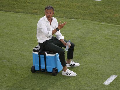 Luis Enrique, durante el España-Suecia.