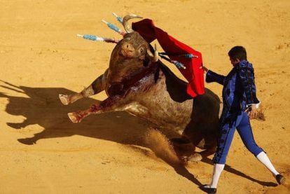 Manzanares da una pase con la muleta a uno de los toros de la tarde.