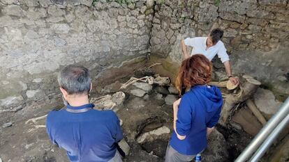 Varios arqueólogos observan los cuerpos hallados en el Regio IX de Pompeya.