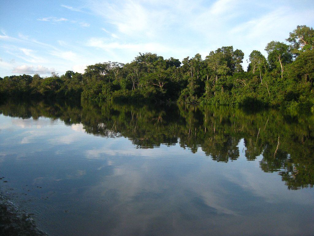 El río Yavarí, en la cuenca del Amazonas, donde Pereira y Phillips fueron vistos por última vez.