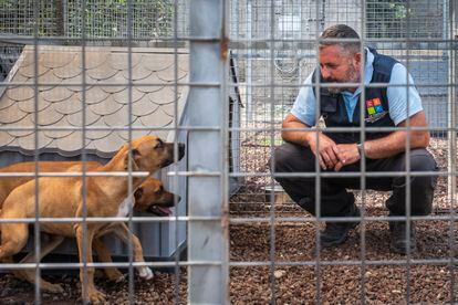 José María Gomez, with the dogs that stay at his canine daycare, in Las Cuevecitas (Candelaria).