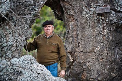 José Boixo, guarda mayor de la reserva biológica de Doñana entre 1965 y 2000, junto al esqueleto de un alcornoque muerto.